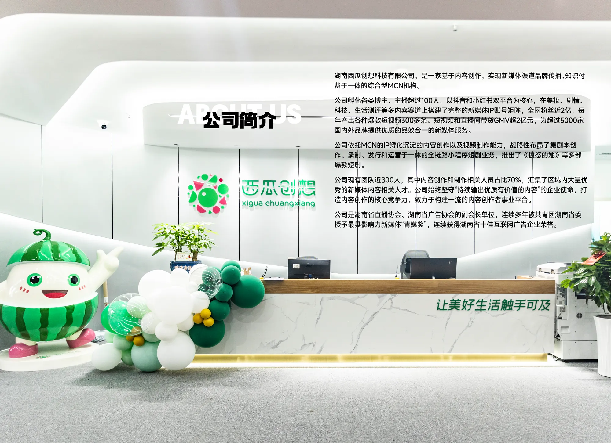 公司简介